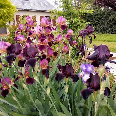 Hebergement Privatif En Maison - Jardin Calme Montreuil-Bellay - Sud Saumur 홈스테이